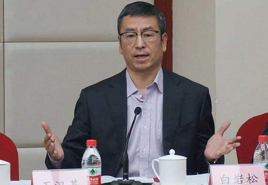 武漢“封城”效果是否明顯？上班后食堂集中用餐如何防護(hù)？白巖松連線